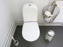 Toilettenwasser sparen