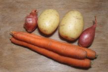 Zwiebeltopf