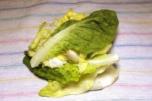 Salat schleudern ohne Salatschleuder