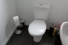 Toilettenreinigung zum Schmunzeln
