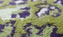 Tierhaare aus Teppichen mit dem Dampfreiniger entfernen