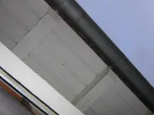 Vogelnester mit Angelschnur verhindern