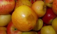 Hässliche Äpfel lecker verpackt