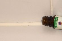 Teebaumöl gegen Schimmel und Pilze