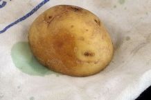 Grasflecken - weg mit Kartoffeln