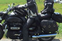 Insekten auf Motorradbekleidung (Leder) entfernen