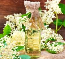 Holundersirup herstellen