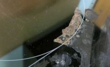 Waschpulver gegen Angebranntes auf dem Herd