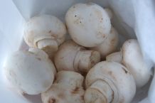 Tipps zu Champignons