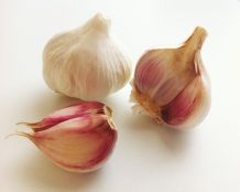 Knoblauch haltbar machen