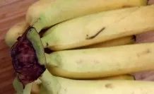 Bananen aus dem Ofen