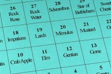 Bachblüten-Notfalltropfen für kranke oder welke Blumen