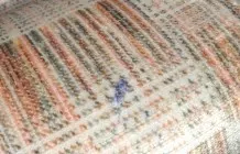 Kugelschreiberflecken auf Textilcouch entfernen