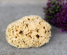 Naturschwämme wieder wie neu