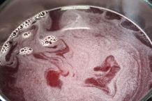 Glühwein ohne Alkohol