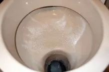 Spülmaschinenpulver für die Toilette