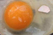 Eierschale im Ei - Weiterentwicklung Teil 1