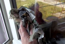 Fenster putzen mit Winter Klarsicht
