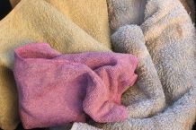 Sparen beim Buntwäsche waschen mit 30 Grad