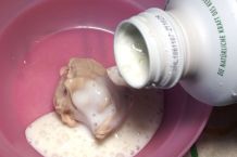 Frische Hefe mit Naturjoghurt oder Kefir