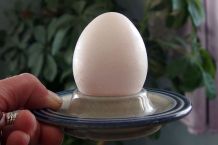 Frühstückseier leicht abpellen (schnell und einfach)