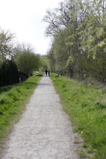 Beim Joggen: Fliegenfresse - Nein danke!
