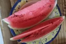 Schnecken bekämpfen mit Melone
