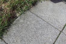 Bodenplatten draußen mit Backpulver sauber machen