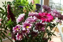 Freude an Blumen in der Vase
