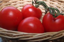 Tomaten aufbewahren