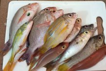 Fischgeruch verhindern