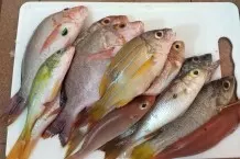 Fischgeruch verhindern