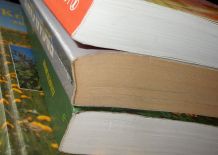 Kein Einkaufen mit Bibliothek-Büchern