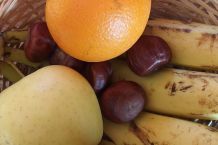 Kastanien gegen Obst-/Fruchtfliegen