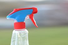 Wespen mit Wasser vertreiben