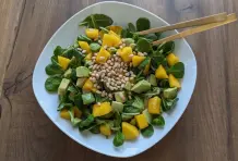 Avocado-Mango Salat mit Orangendressing