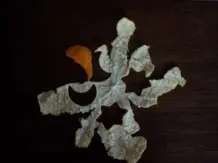 Adventsdeko aus Mandarinenschalen