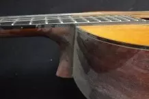 Gitarre mit Zahnpasta reinigen