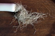 Tisch oder Arbeitsfläche mit dem haarigen Rest vom Lauch putzen