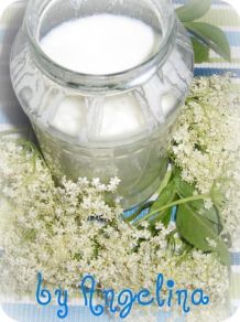 Holunderblüten Joghurt selbst herstellen