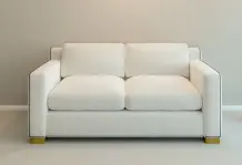 Microfasersofa reinigen