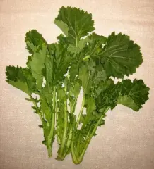 Italienisches Gemüse - Cima di Rapa / Stängelkohl