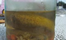 Für Essiggurken-Liebhaber: Wasserkocher entkalken
