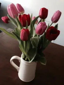 So lassen Tulpen den Kopf nicht hängen