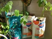 Tomatenpflanzen in Katzenfutterbeuteln mit Kompost ziehen