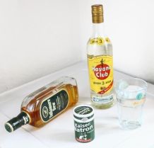 Alkohol? So miaut im Kopf kein Kater mehr