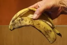 Bananenschalen: Natürlicher Rosendünger