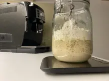 Sauerteig ansetzen - Anstellgut selber herstellen