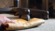 Katzenhaare vom Teppich entfernen