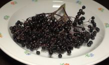 Holundersirup aus Beeren